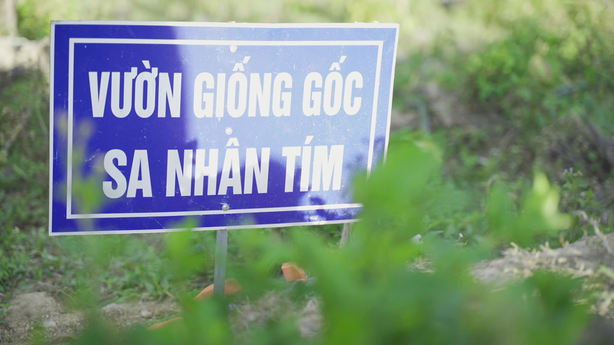 Rừng Măng Ri